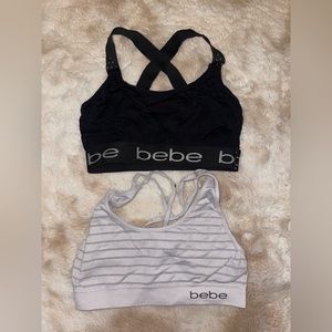 bebe sports bras